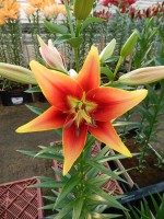 [5136 Kaveri Mak18 No01.JPG]